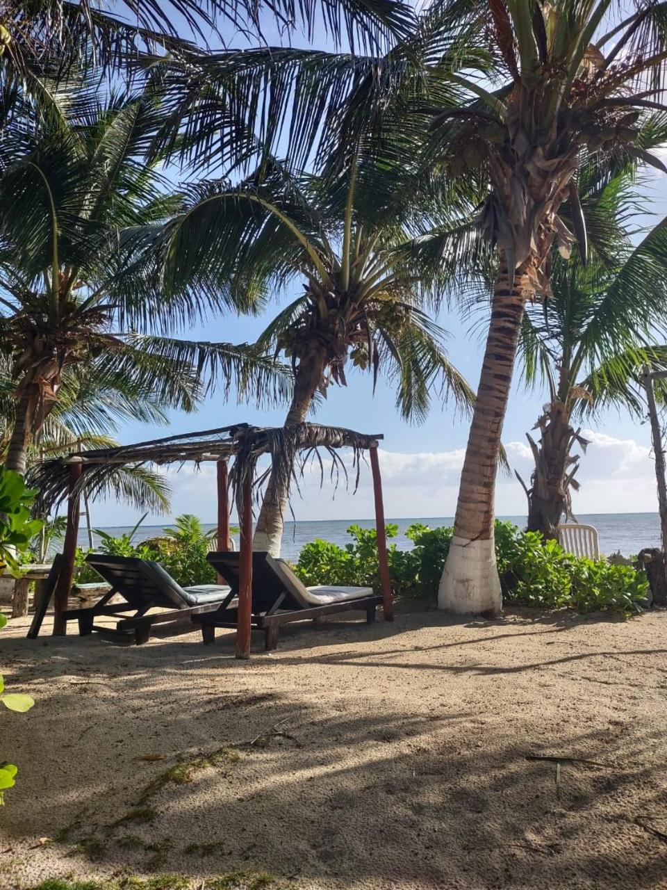 Lunazul Eco-Cabana Frente Al Mar Mahahual Exterior photo